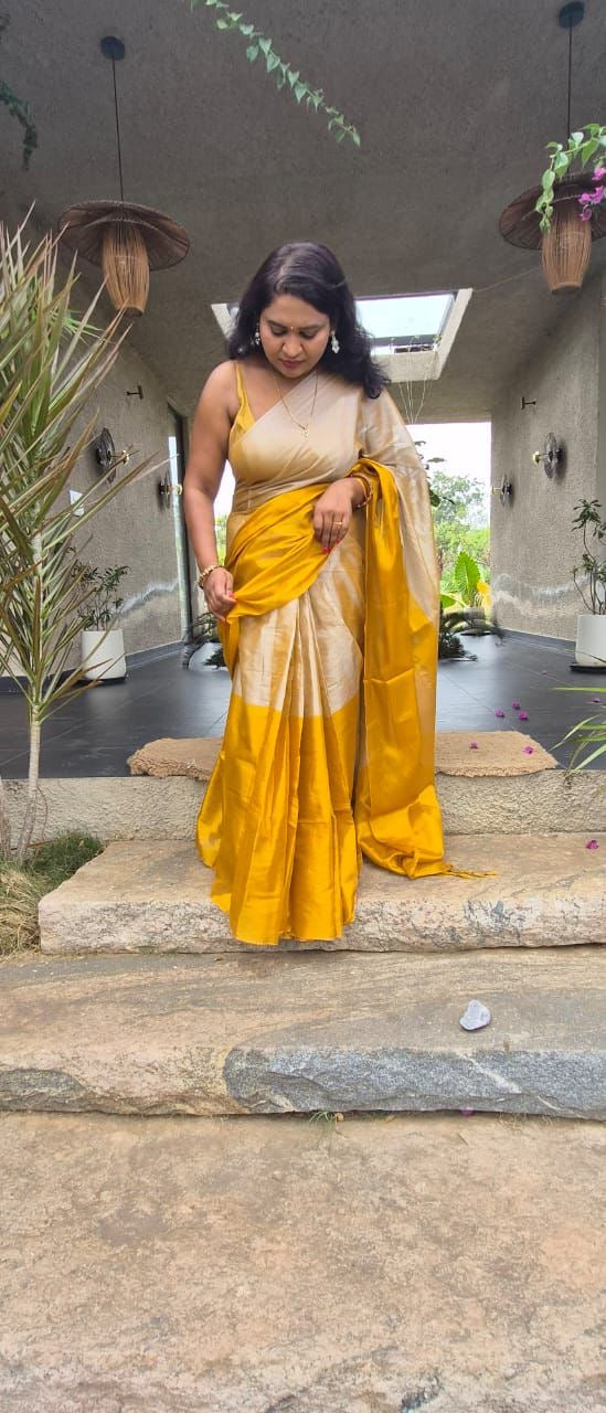 Raaga Tissue saree(004)