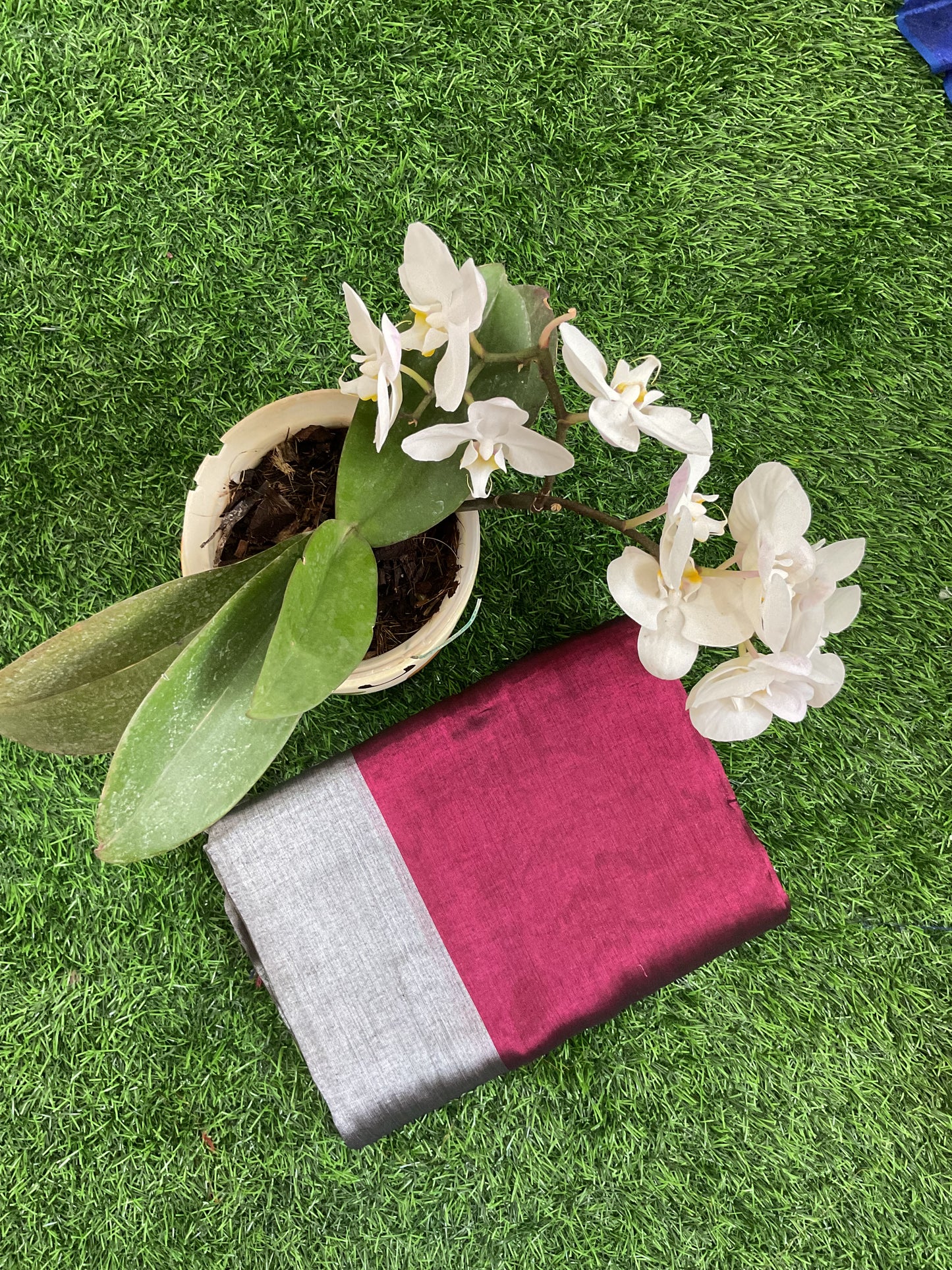 Tissue saree (Raaga006)