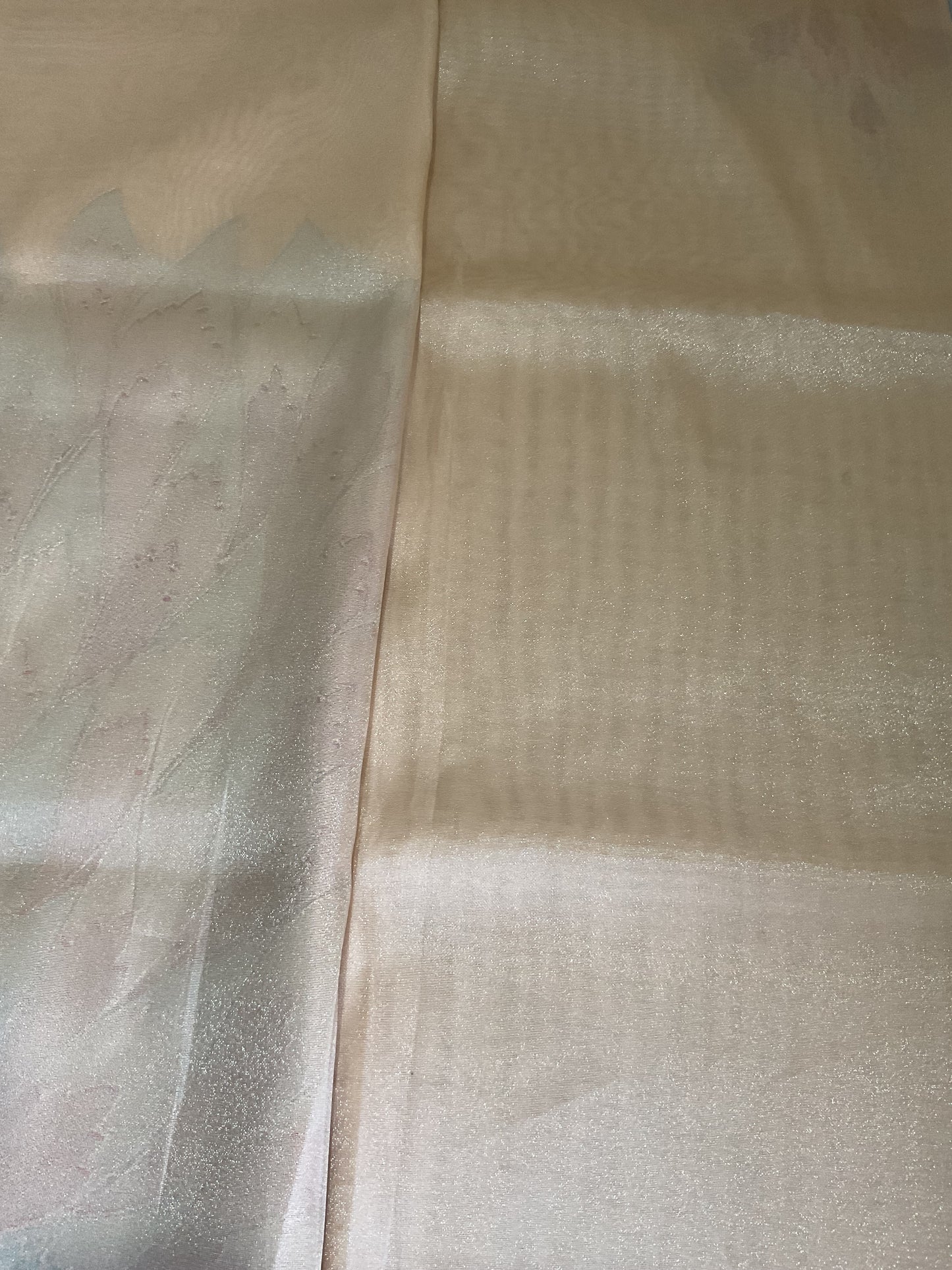 Designer embroidered organza saree(Ivory)