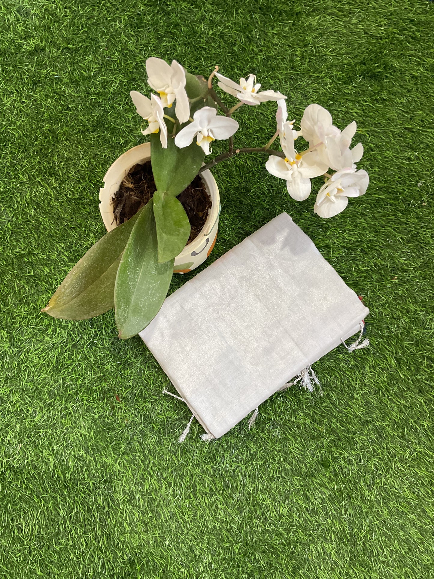 Khadi Tissue saree (Trisha-004)