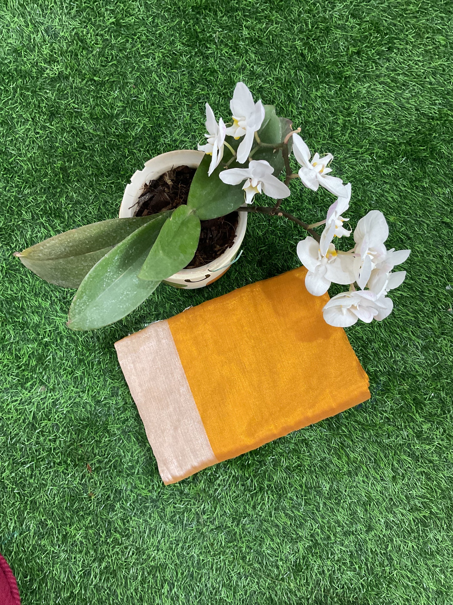 Tissue saree(Raaga004)