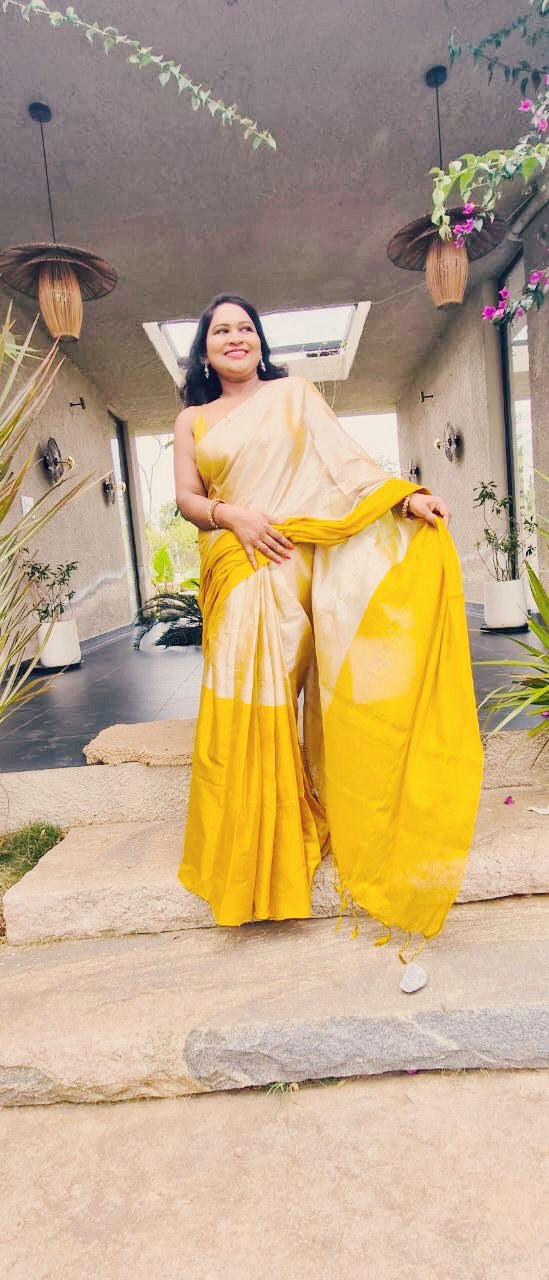 Raaga Tissue saree(004)