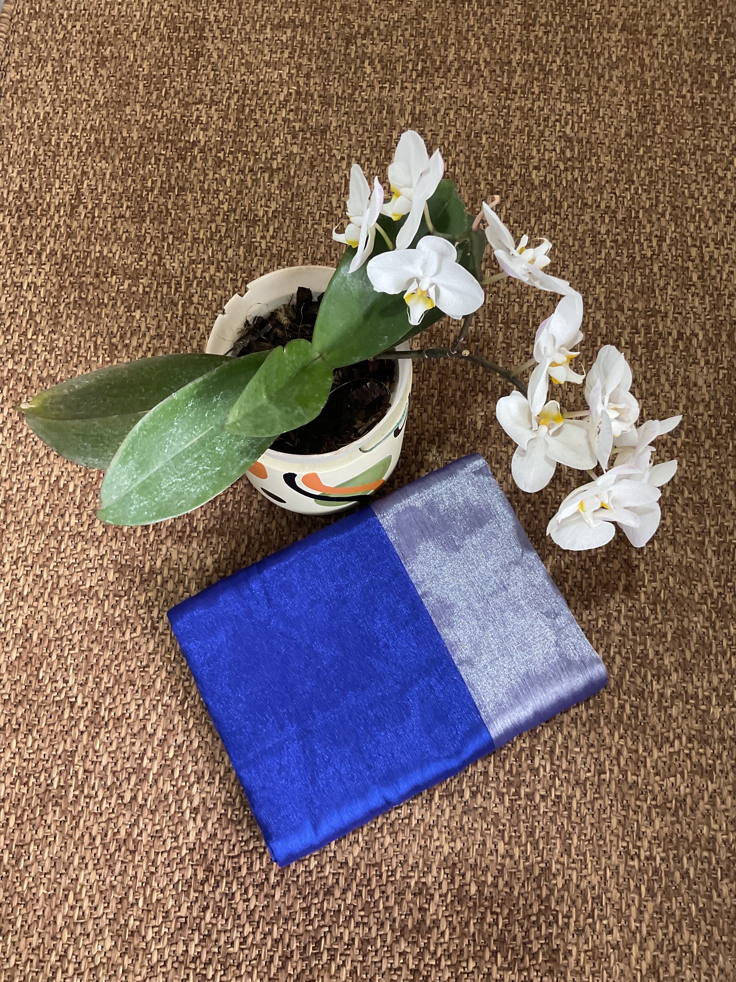 Tissue saree ( Raaga 002)