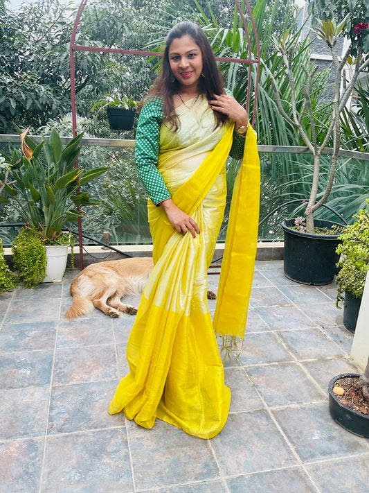 Raaga Tissue saree (003)