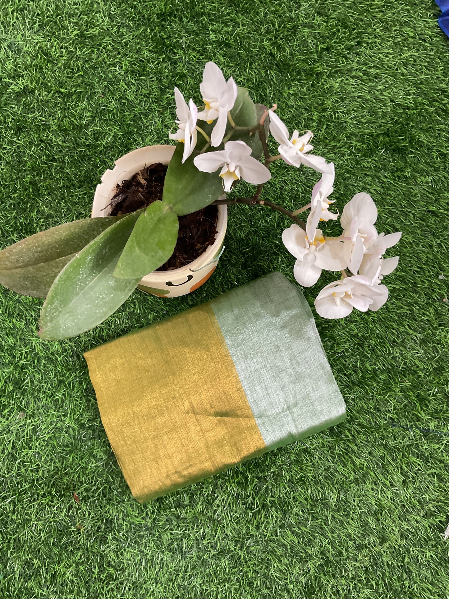 Tissue Saree ( Raaga005)