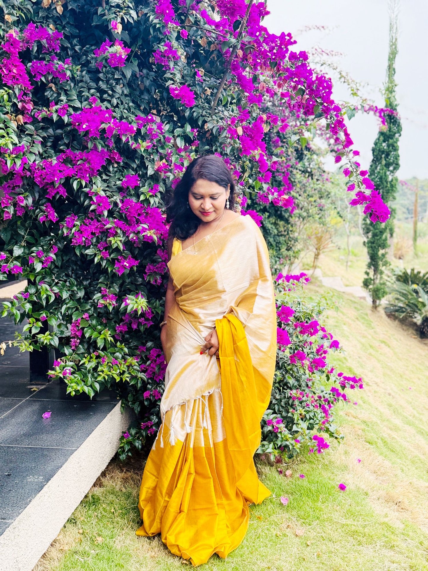 Raaga Tissue saree(004)