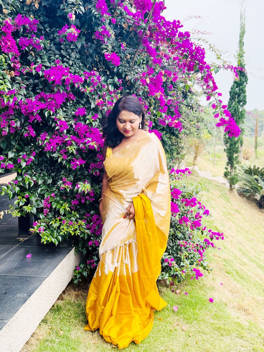 Raaga Tissue saree(004)